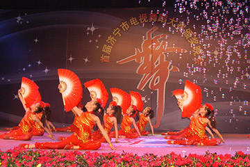 2010年小白鸽参加首届济宁市电视舞蹈大赛荣获一等奖