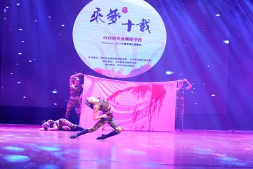 小白鸽中国舞高级班舞蹈《无名花》