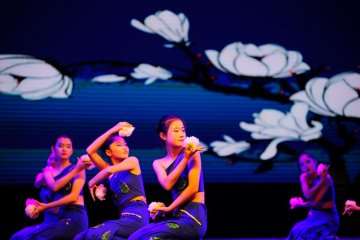 小白鸽8级学员舞蹈《缅桂花开朵朵香》